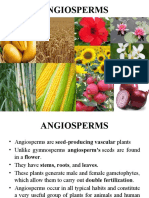 Angiosperms