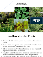Ptredophytes (Seedless Vascular Plants)