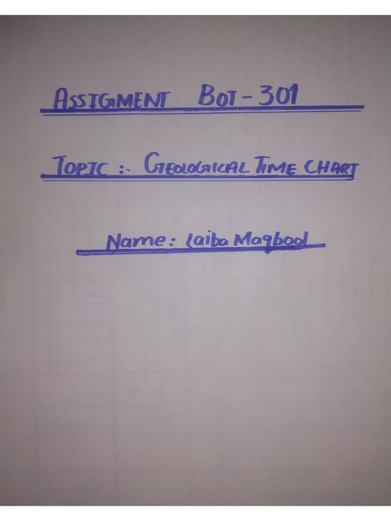 Bot Assignment | PDF