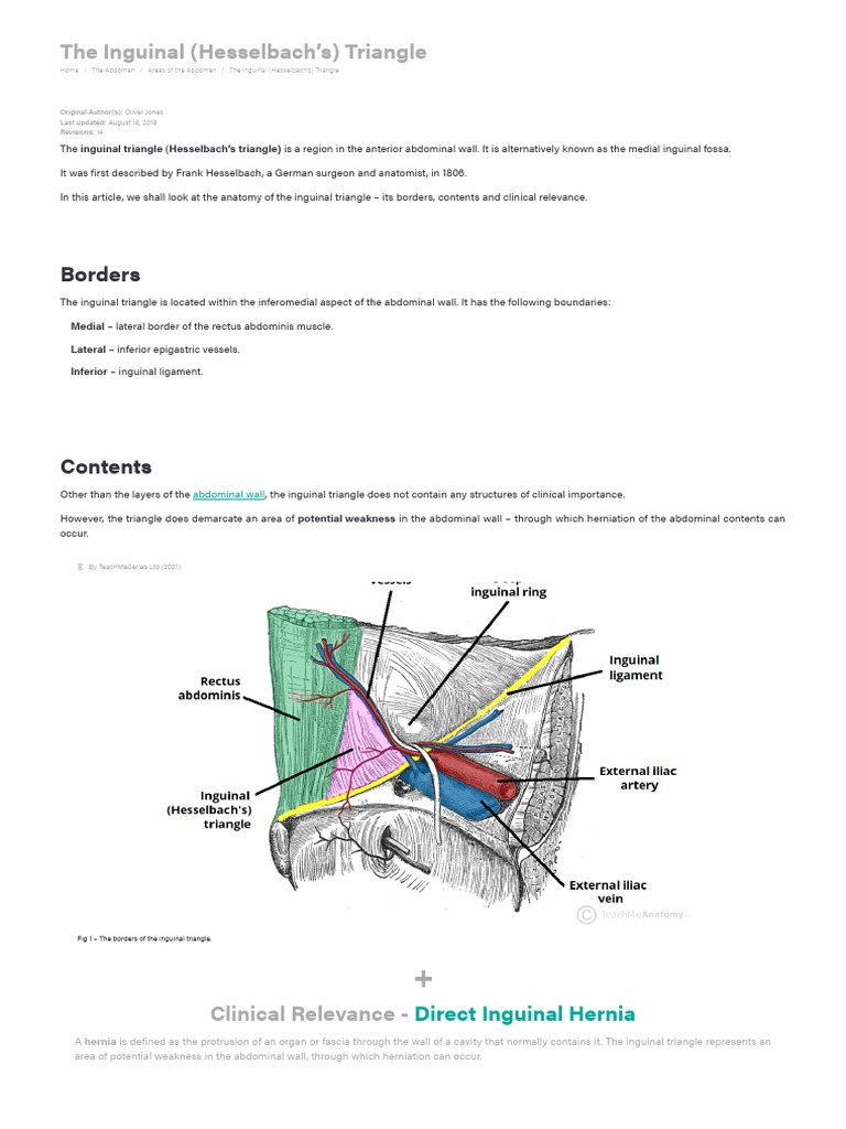 Inguinal Triangle , Canal inguinal: Anatomie, contenus et hernies – ZGZXPV