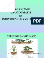 Organizmų Dauginimasis Ir Individualus Vystymasis