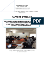 RAPPORT ATELIER Formation Cabinets EES