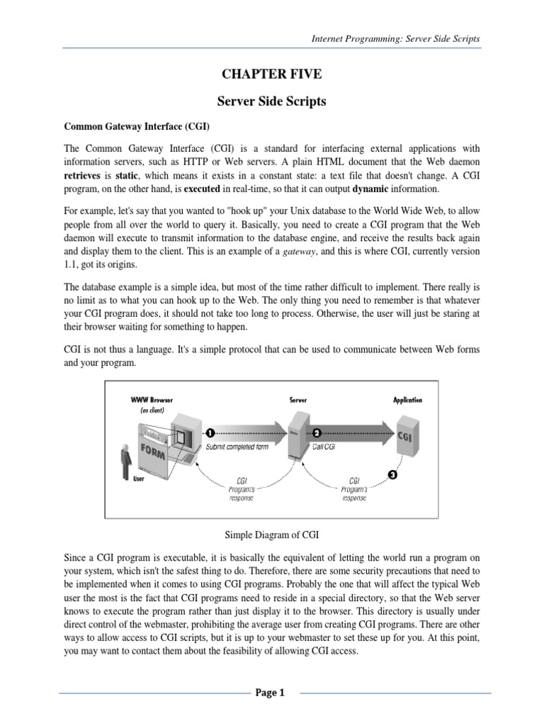 Chapter Five Server Side Scripts: Common Gateway Interface (CGI) | PDF ...