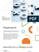 Organizacion como proceso y estructura organizacional