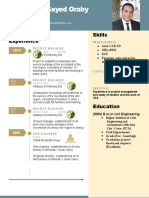 Ahmed EL-Sayed Oraby: Experience Skills