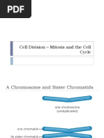 Cell Division - Mitosis and The Cell Cycle