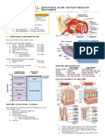 Intestinal Fluid and Electrolyte Movement