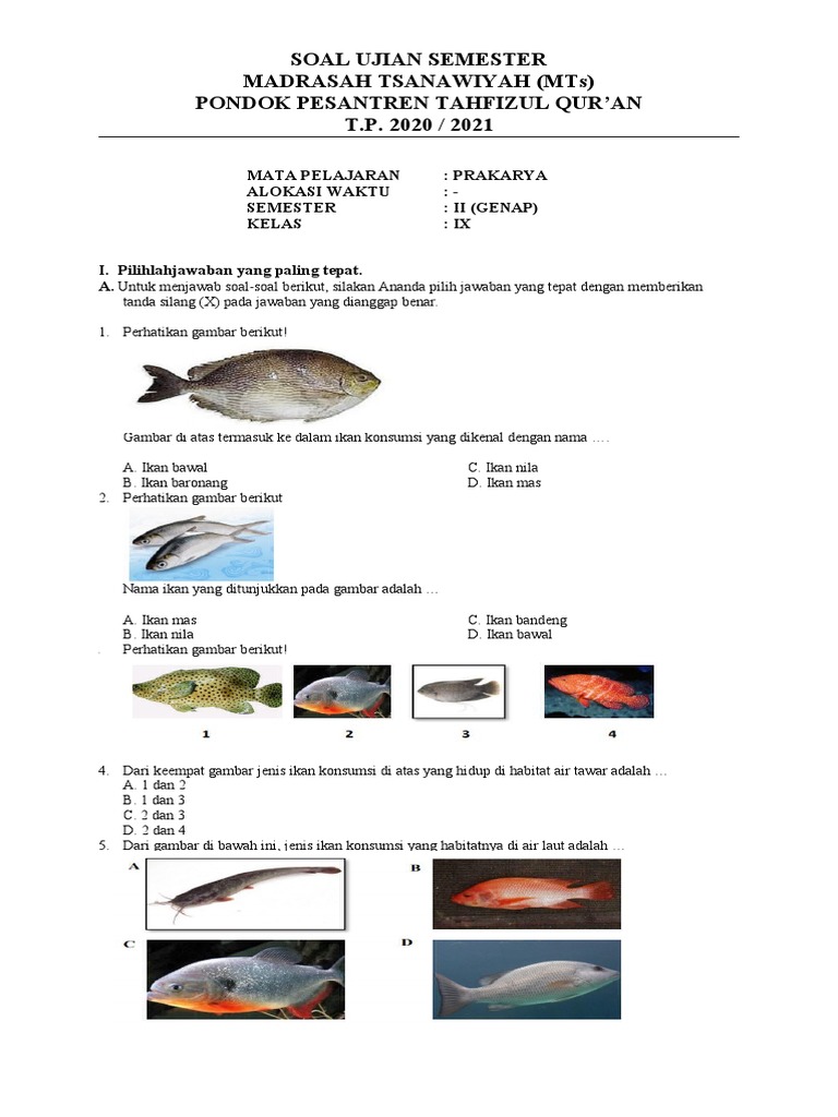 58 Berikut Ini Yang Termasuk Ikan Air Laut Adalah Gratis Terbaru