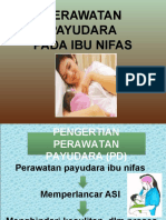 Powerpoint Payudara