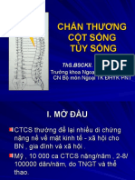 CT Cot Song-Tuy Song