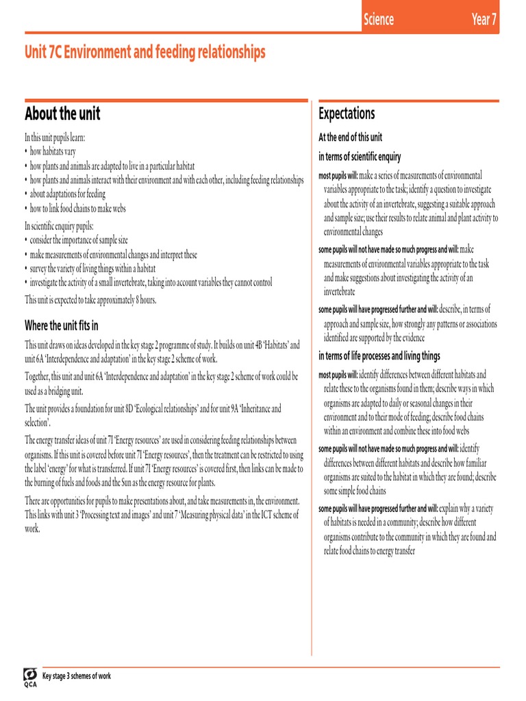 About The Unit: Unit 7C Environment and Feeding Relationships | PDF ...