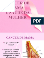 cancer-de-mama-palestra-para-comunidade