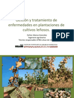 Esther Alonso Gonzalez - Gestion y Tratamiento de Enfermedades en Plantaciones de Cultivos Len Osos (1)