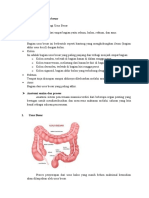 Anatomi Dan Fisiologi Sistem Pencernaan