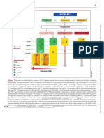 2020 ESC Guidelines For The Management of Acute Coronary Syndromes in Patients Presenting Without Persistent ST-segment (25-34)