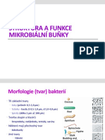 OK - 3 Mikrobiologie-struktura a Fce Buňky 2012