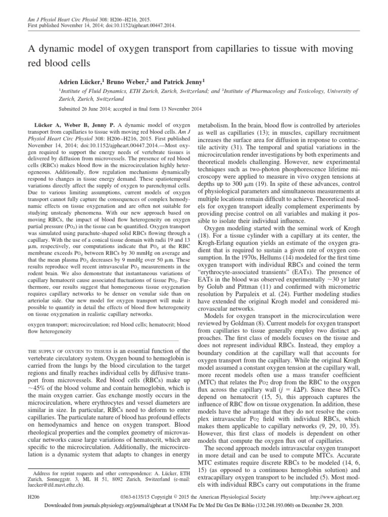 Dynamic Model of Oxygen Transport in Tissues | PDF | Red Blood Cell ...
