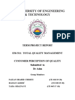 TMQ Project Report Customer Perception of Quality