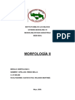 Morfología Ii