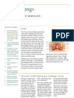 Lung Summary Booklet