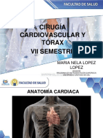 Anatomía y Fisiología Cardio - Pulmonar