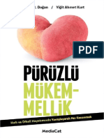 Puruzlu Mukemmellik