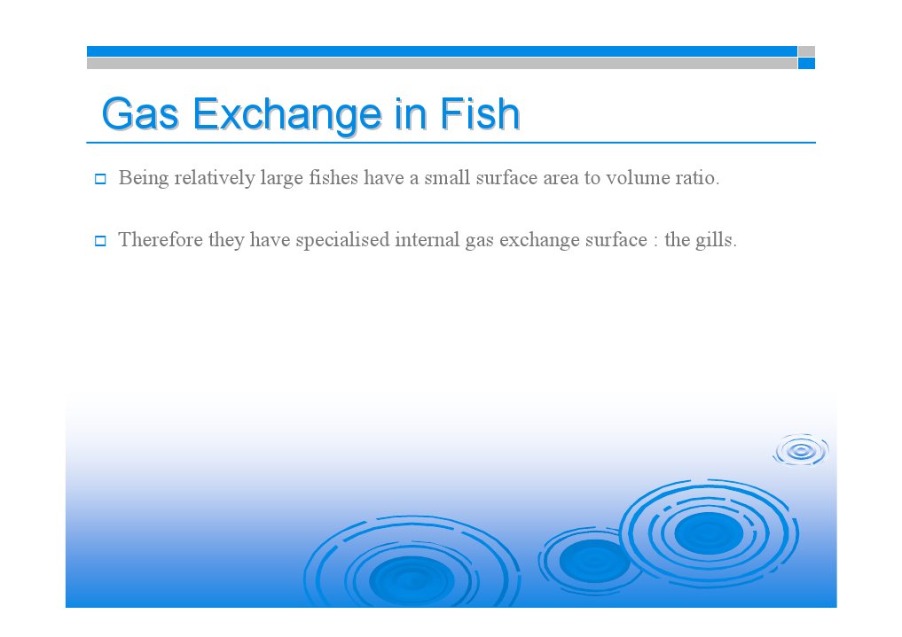 Gas Exchange in Fish PDF