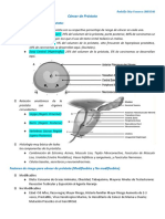 Resumen de Cancer de Prostata