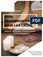 Guía Psicoemocional Ante Las Crisis