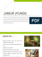 Jamur (Fungi)