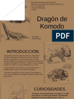 Dragon de Komodo