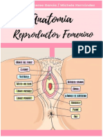 Órganos genitales internos femeninos