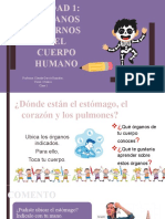 Unidad 1organos Del Cuerpo Humano