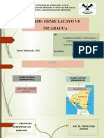 Caso Nicaragua