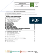 Pospr G 010 Lineamiento Restricciones y Condicionantes