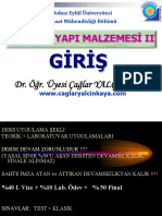 Ym II 1 Giris Cyweb