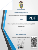 Capacitación Virtual 20 Horas SG SST-Certificado Curso y Aprobó Capacitación Virtual 20 Horas SG SST 3402