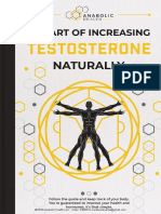 The Art of Increasing Testosterone Naturally - Anabolic Health - V1 March 2020