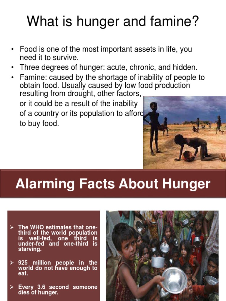 Understanding Hunger and Famine Causes | PDF | Agriculture | Food Security