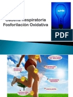 Fosforilacion Oxidativa