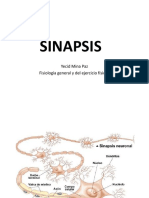 Transmision Sinaptica