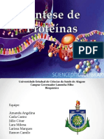 Bioqumica Sntesedeprotenas 121218203757 Phpapp01
