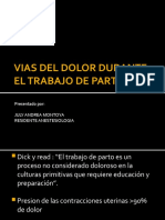 Vias Del Dolor Durante El Trabajo de Parto