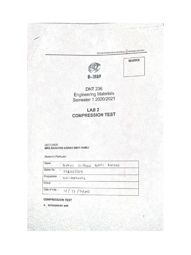 Lab 2 Compression Test - 192061589 | PDF