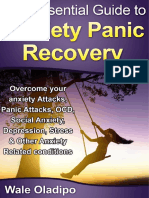 The Essential Guide To Anxiety Panic Recovery