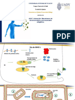 Mecanismos de reconocimiento y procesamiento antigénico