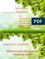 The Parts of A Plant and Their Functions