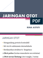 Jaringan Otot