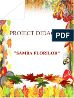 Proiect Ala Samba Florilor