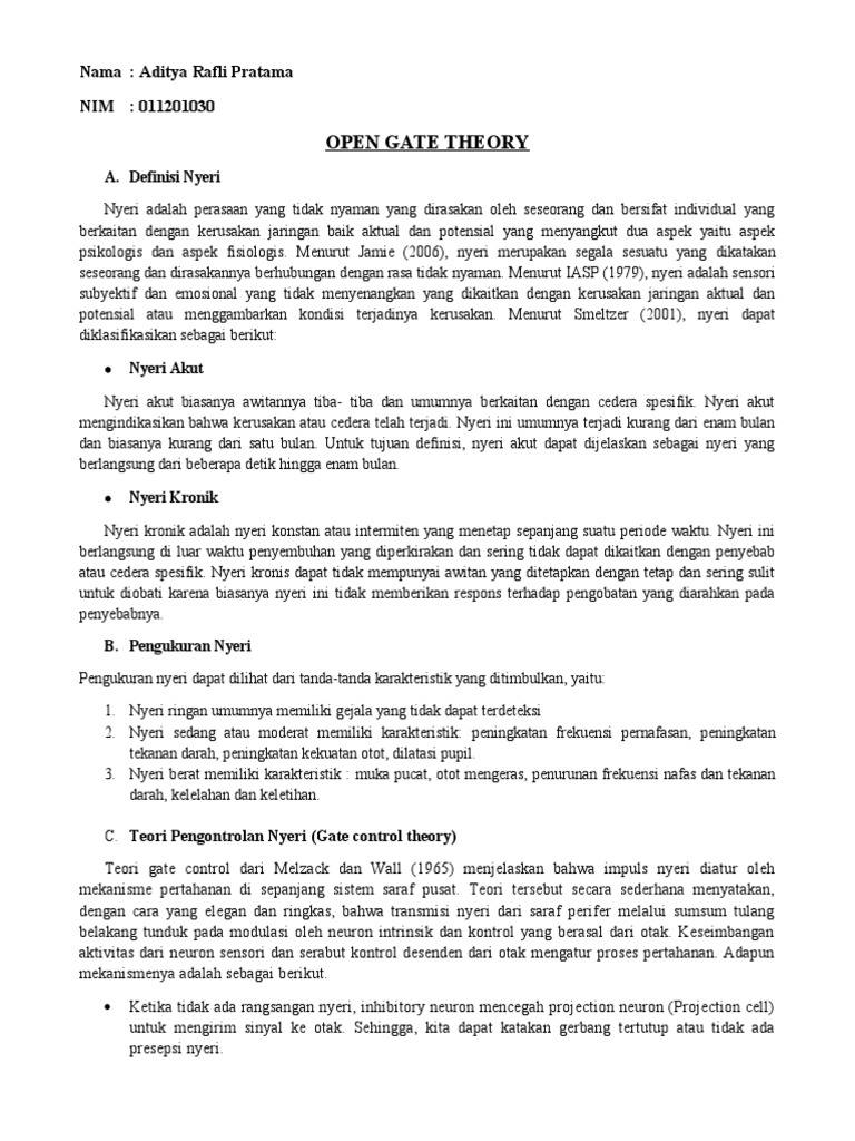 Teori Gerbang Kontrol Nyeri | PDF